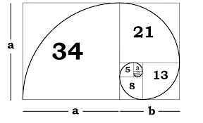 day-so-fibonacci-4