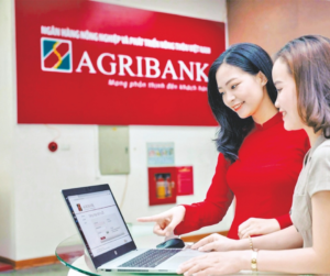 Ngân hàng Agribank là ngân hàng trực thuộc với vốn điều lệ 100%